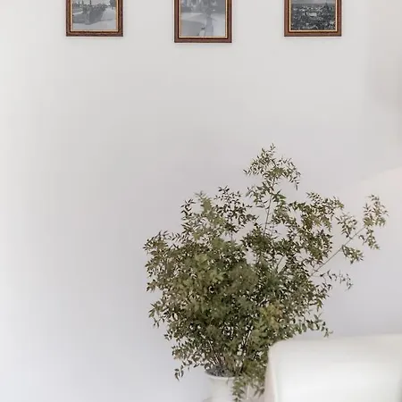 Grossartige Tage Im Zentrum Von Dresden! 드레스덴